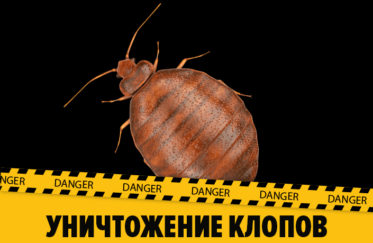 Уничтожение клопов